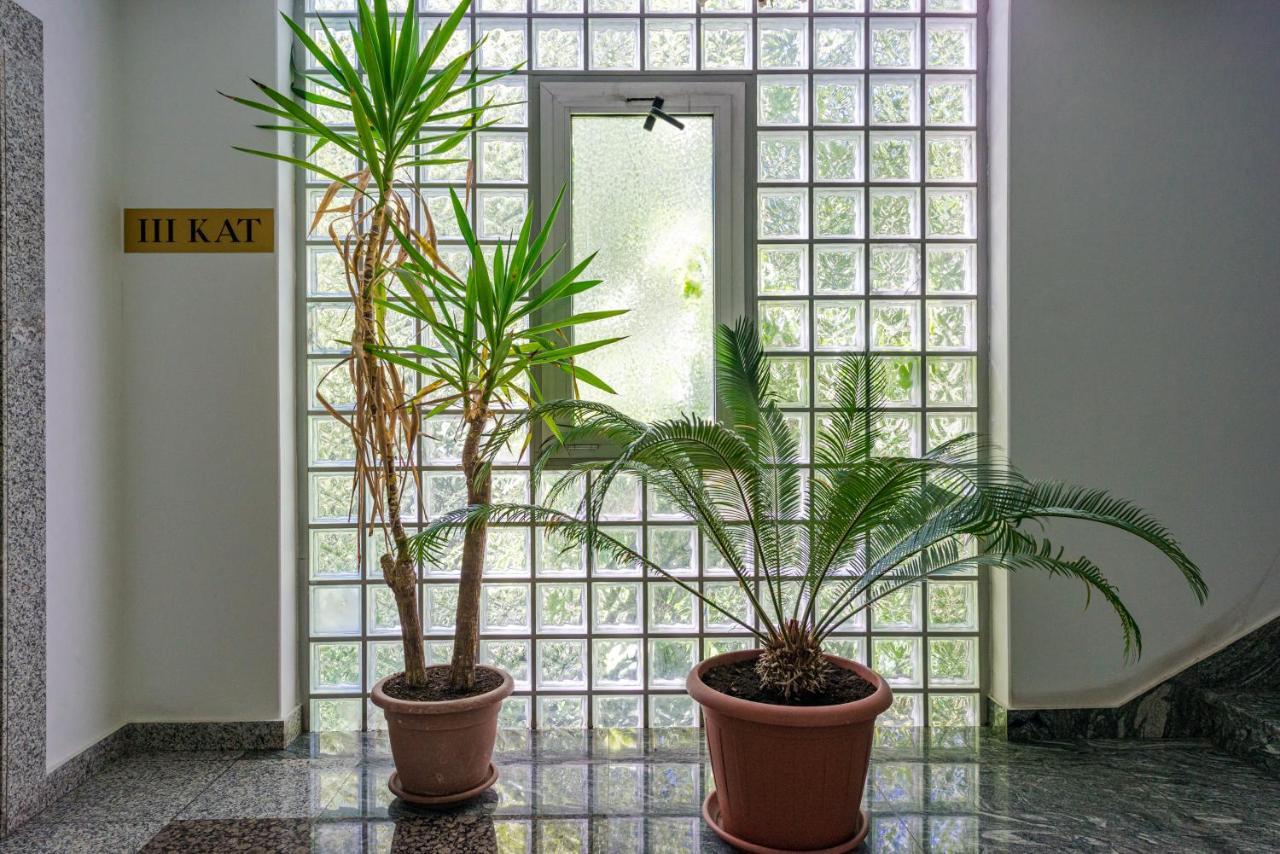 "Didu Studio" 20 Min Walk To Old Town Dubrovnik Exterior photo
